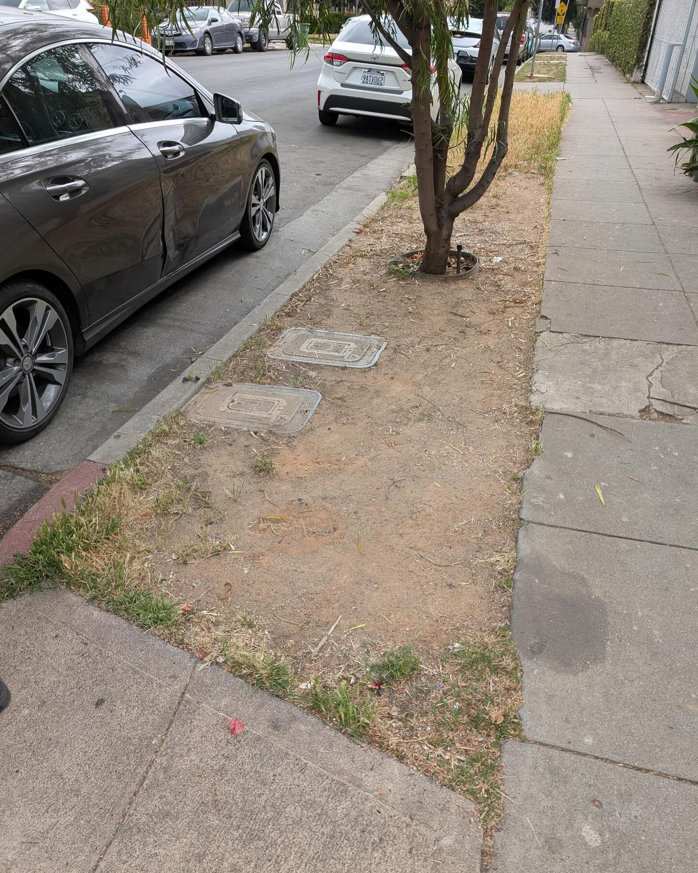 May 2025 Clean Up